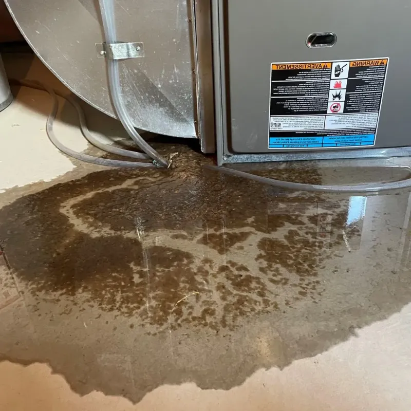 Pipe Burst and Leak Restoration in Hyannis, MA